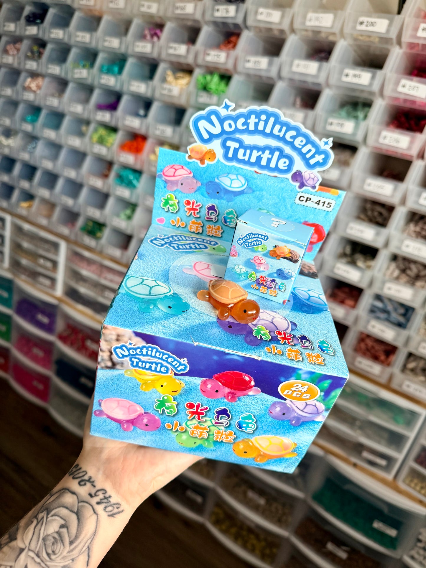Acrylic Collectible Turtles (1ct Mystery) WHOLESALE