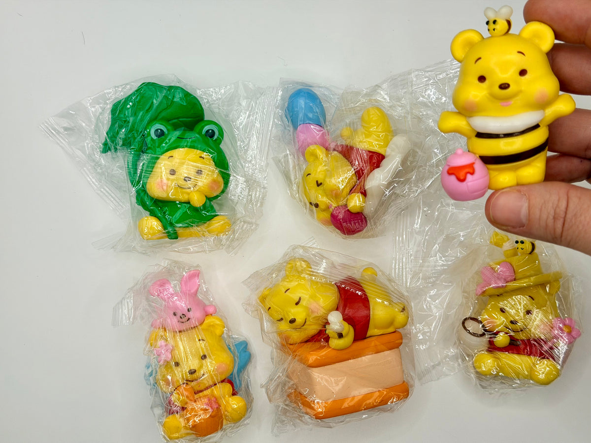 Honey bear (pack of 6)